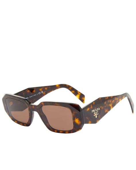 prada sunglasses dark brown|Prada symbole sunglasses tortoise.